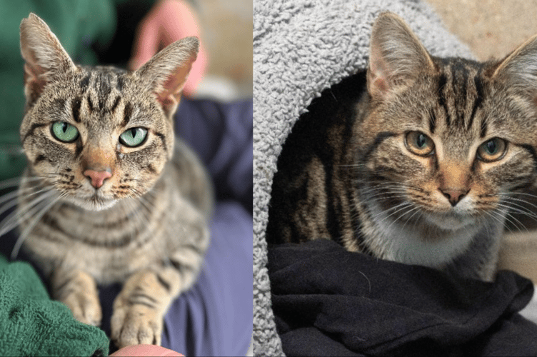 Forest (left) and Timothy (right) have overcome all odds.