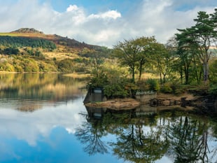 25 years of healthy lakes, landscapes and lives