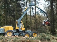 Timber harvesting begins at Bellever Forest