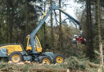 Timber harvesting begins at Bellever Forest