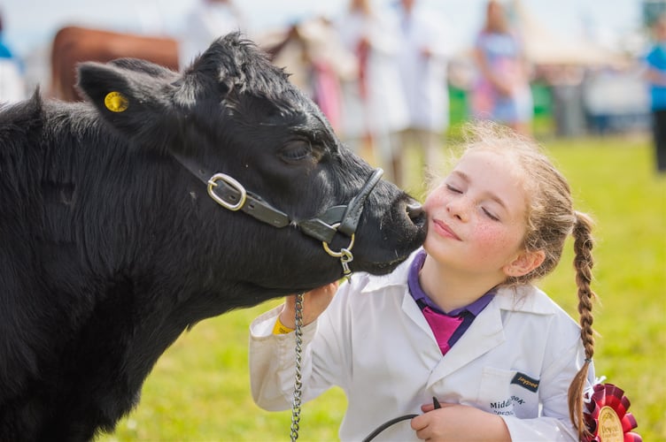 Get up close and personal with the livestock at Devon County Show. Picture: Katie Mortimore Photography