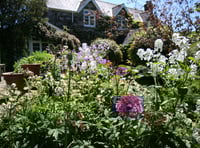 Dartmoor village stages open gardens event