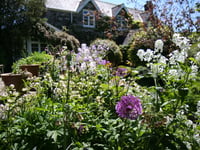 Dartmoor village stages open gardens event