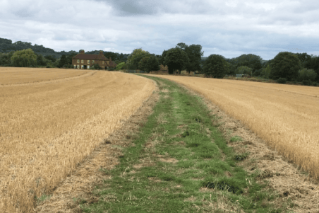 Path in Herefordshire.