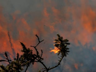 Fire crews tackle huge moorland fire