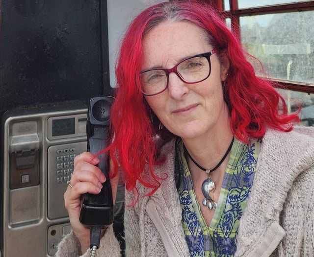 Emergency call to save Dartmoor phone boxes