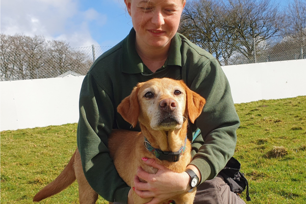 Ten dogs saved from miserable years of neglect