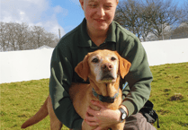 Ten dogs saved from miserable years of neglect