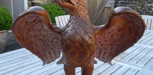 Man arrested over Yelverton lectern theft
