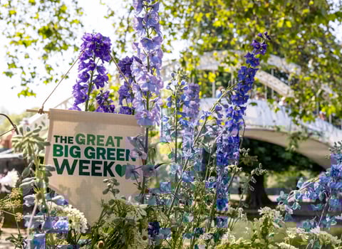 Okehampton's eco-events for Great Big Green Week