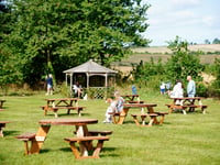 National Beer Garden Day: celebrate by supporting your local in Torridge, as pubs and bars continue to shut across the UK