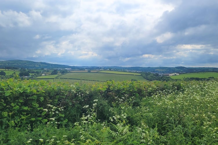 Okehampton in the distance