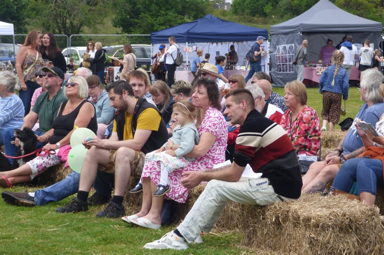 St Ann's Chapel fete last year.