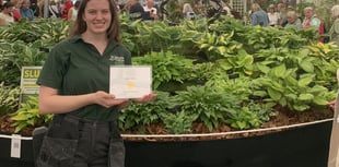 Plant nursery takes Chelsea Flower Show by storm