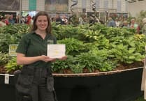 Plant nursery takes Chelsea Flower Show by storm