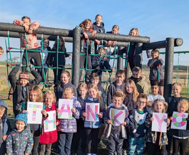 Boasley Cross Primary School play equipment celebration