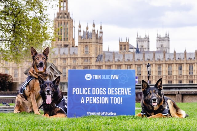 No more ruff justice for retired police dogs