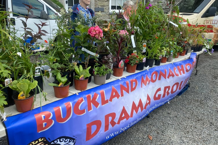 Buckland Fair included a plant sale by the village drama group