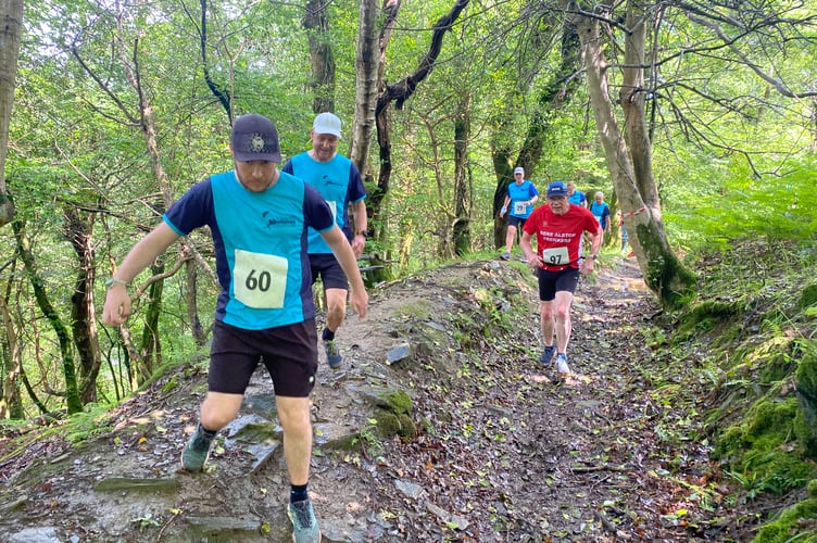 The Buckland Bounder cross-country race had its biggest entry as part of the fair. 