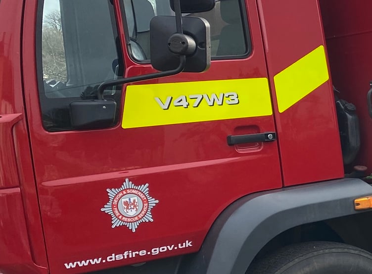 Devon and Somerset Fire and Rescue Service has reported a financial surplus.