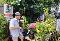 Meavy garden show promises scent and colour