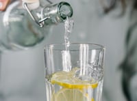 John Howells: Slimline tonic? Ugh!