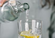 John Howells: Slimline tonic? Ugh!