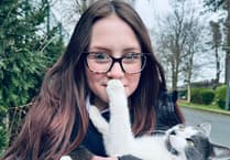 Couple travel from Isle of Man to collect cat who hitched 400-mile ride to Tavistock