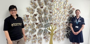 New Memory Tree at Derriford to remember baby loss