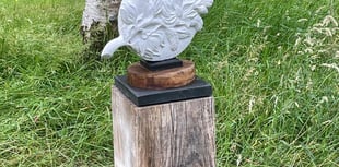 Stone Lane Gardens: Nature's Gallery