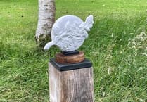 Stone Lane Gardens: Nature's Gallery