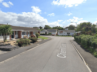Man pleads guilty to manslaughter of 93-year-old mother