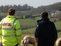Struggling farmers urged to seek help in wake of  cattle neglect case