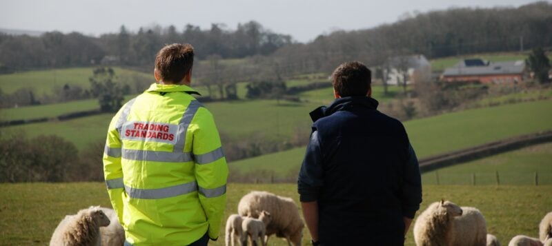 Struggling farmers urged to seek help in wake of  cattle neglect case
