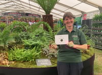 Bowdens Nursery enjoys Hampton Court success