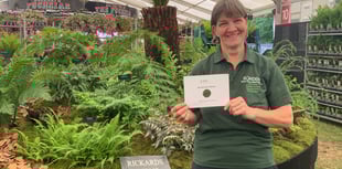 Bowdens Nursery enjoys Hampton Court success