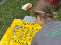 River Lew pollution kills fish, pet owners warned