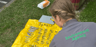 River Lew pollution kills fish, pet owners warned