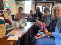 Charity knitters launch new cause