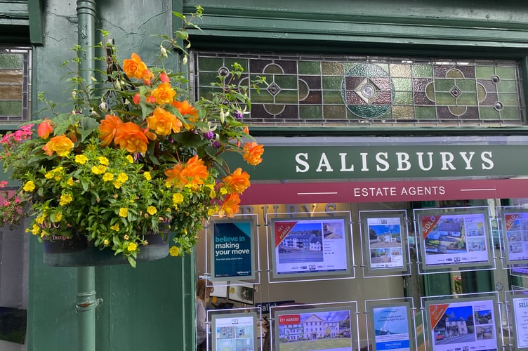 Salisburys' hanging baskets