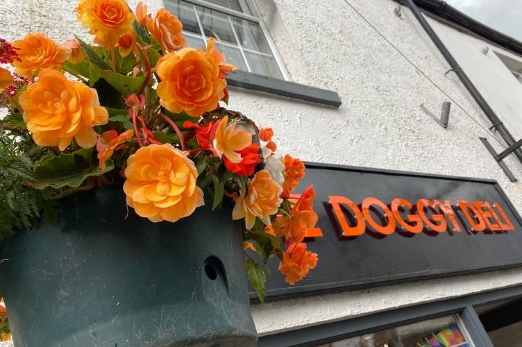 Doggy Deli's very orange hanging basket matches their branding.