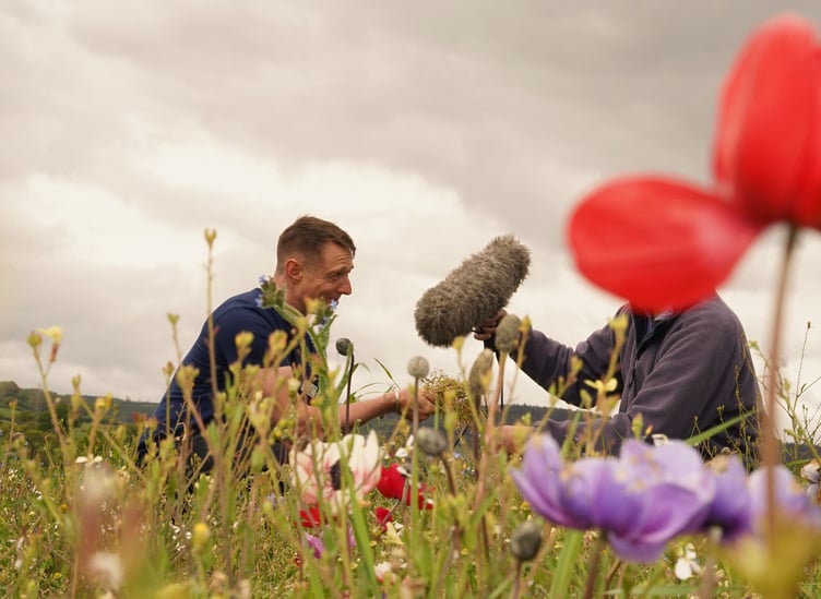 Langdon Hospital patients record ambient album.