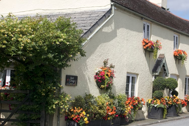 Mark and Claire White are proud of their admired floral home in Lamerton. Picture by Jude Wright.
