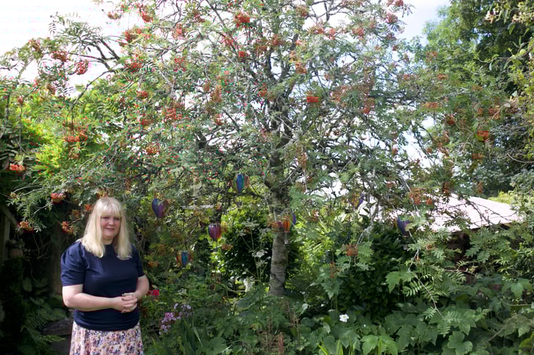 Clare White and her husband Mark have created a 'home outdoors' as a garden with many parts - including this tree hung with min-hot-air balloon decorations in Lamerton. Picture by Jude Wright.