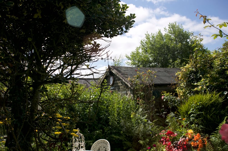 Claire White and her husband Mark have created a 'home outdoors' as a garden with many 'rooms' in Lamerton. Picture by Jude Wright.