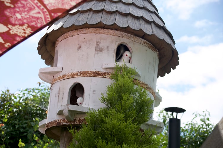 Claire White and her husband Mark have created a 'home outdoors' as a garden with many 'rooms' (including this dovecot with mock parents) in Lamerton. Picture by Jude Wright.