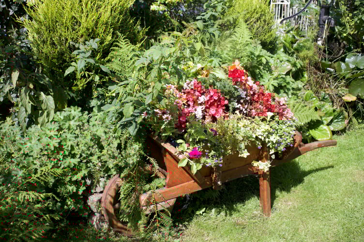 Claire White and her husband Mark have created a 'home outdoors' as a garden with many parts in Lamerton. Picture by Jude Wright.