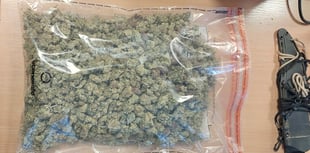 Cannabis and weapons seized near Okehampton