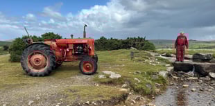 Dry leat causing concern for Dartmoor livestock