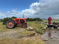 Dry leat causing concern for Dartmoor livestock
